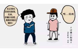 高要要钱公司：揭秘金融服务行业的创新力量