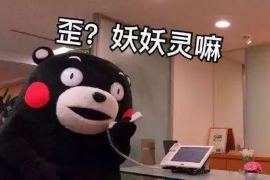 最高规格催收流程是什么？揭秘高效债务回收策略